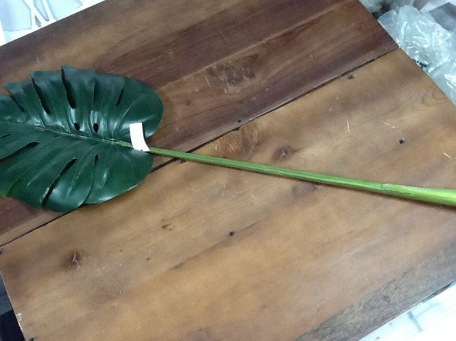 Hovedbilde RM Planteblader liten