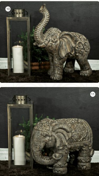 Hovedbilde Pumilio Elefant snabel nede